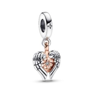 782359C01 Celestial Compass Angel Wings Dangle Charm