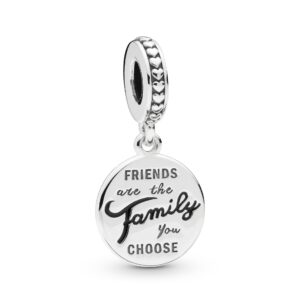 798124EN16 Friends Are Family Dangle Charm