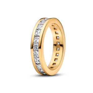 163797C01 Eternity Channel Ring