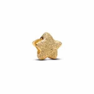 764050C00 Textured Star Mini Charm