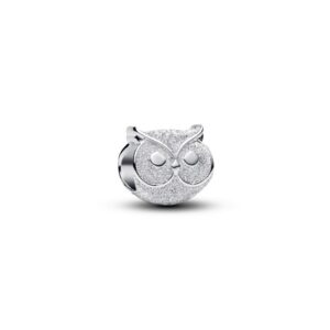 794525C00 Textured Owl Mini Charm