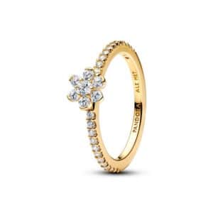 164499C01 Sparkling Flower Ring