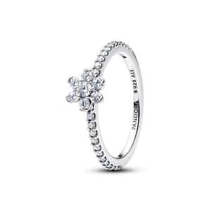 194499C01 Sparkling Flower Ring