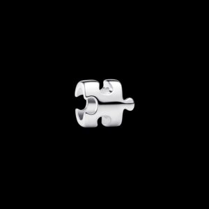 794514C00 Puzzle Piece Mini Charm