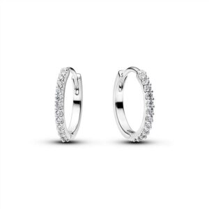 294649C01 Sparkling Mini Hoop Earrings